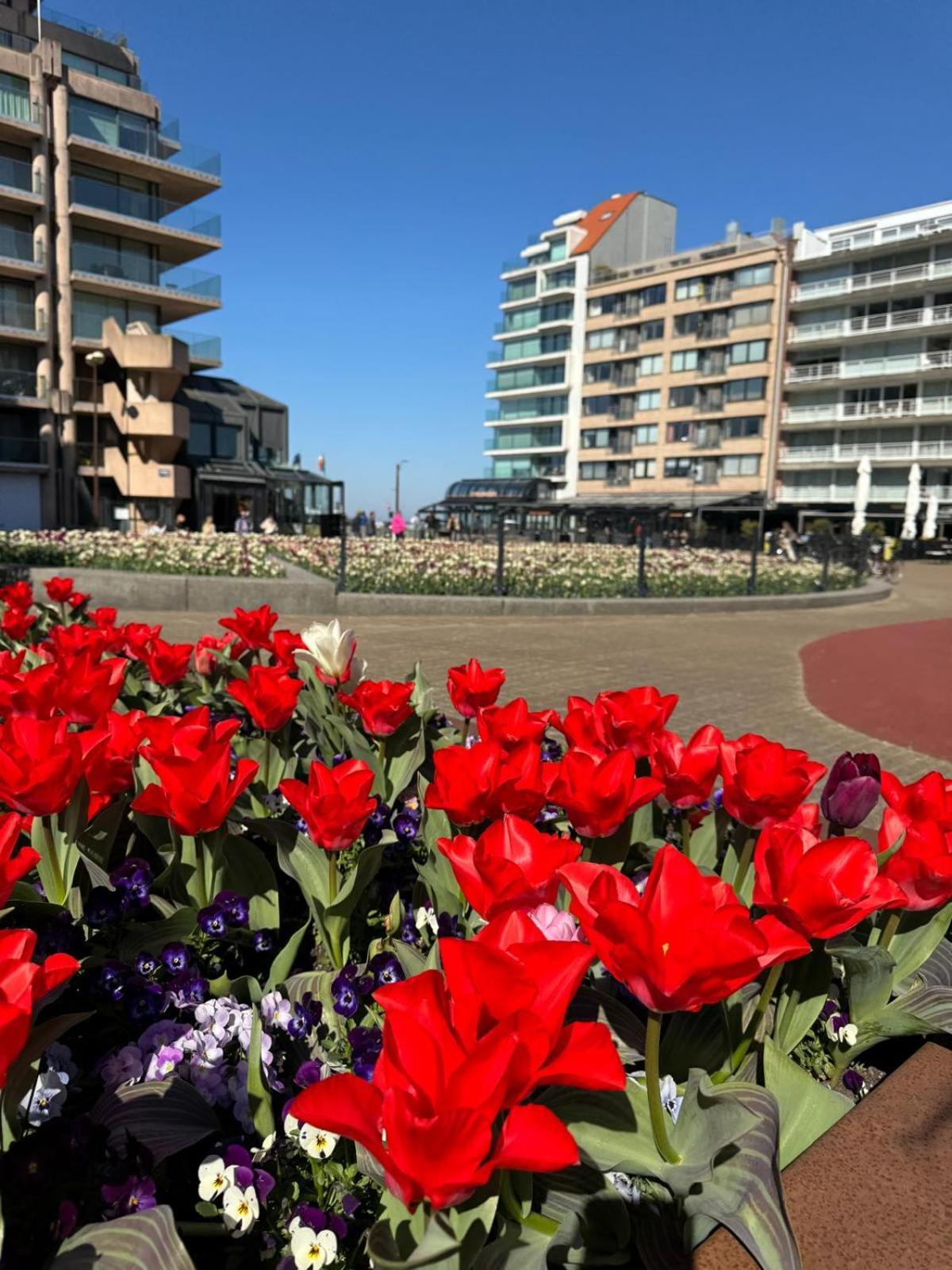 Luxe Studio/Suite Met Zeezicht En Volle Zon Knokke-Heist Exterior foto